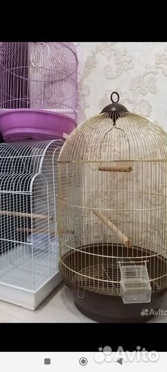 Новые клетки для попугаев