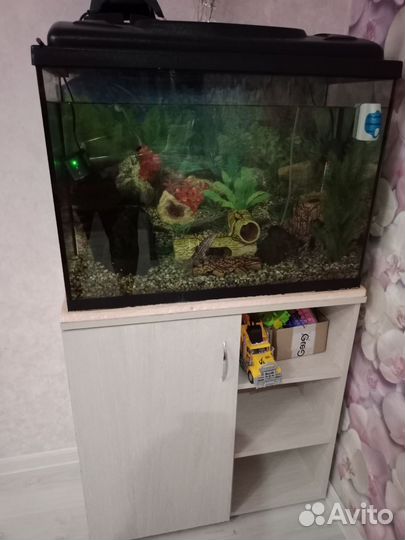 Аквариум