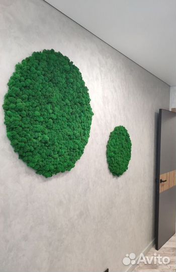 Стабилизированный мох, панно