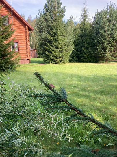 Дом 79,3 м² на участке 12 сот.