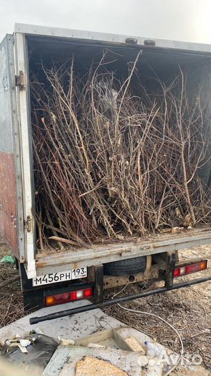 Вывоз мусора