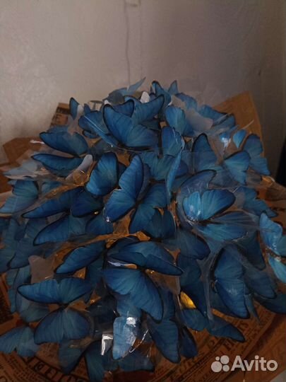 Букет из бабочек