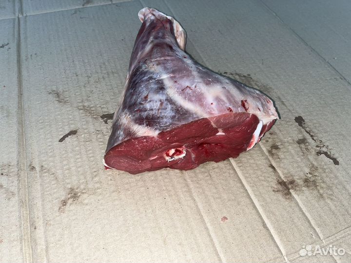 Баранина задок