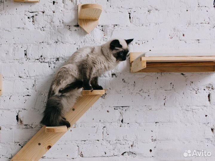 Комплекс для кошек настенный от производителя