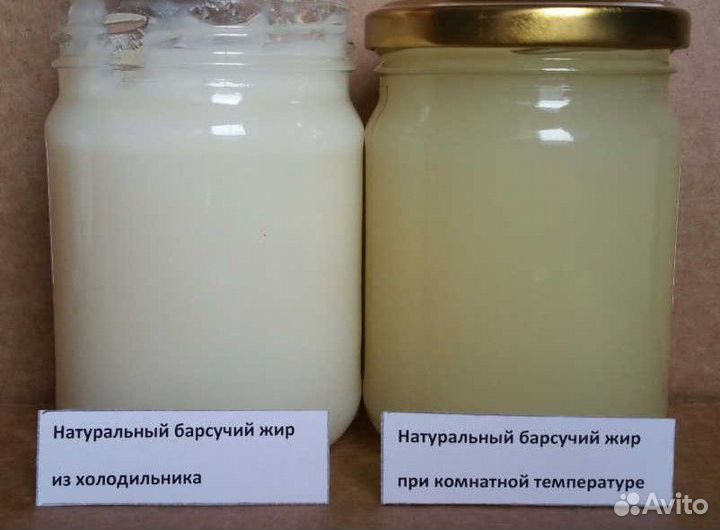 Барсучий жир (Алтай)