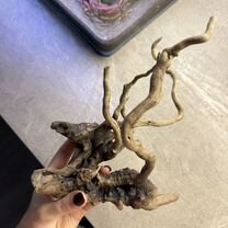 Коряга для аквариума masha blum