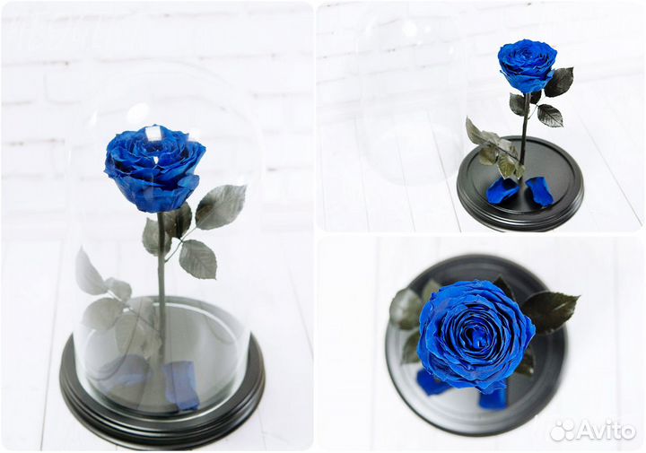Роза в колбе Живая Премиум розы Кемерово