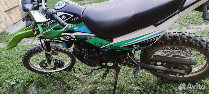 Рейсер пантера