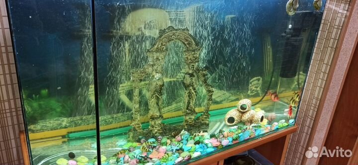 Аквариум с тумбой 120 лит