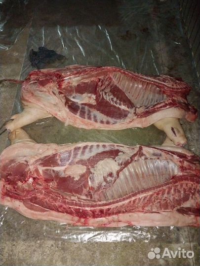 Мясо домашнее свинина