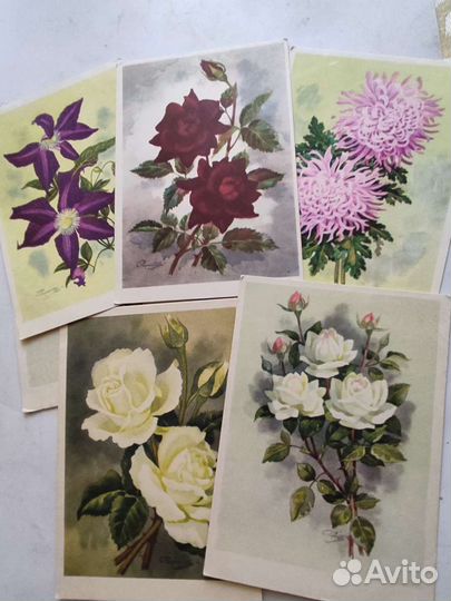 Открытки, Времён СССР, 1964, худ. И. Романов