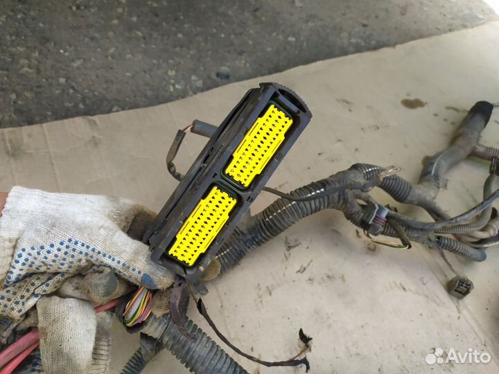 Проводка двигателя Рено Логан 1.4