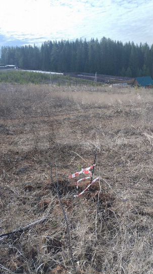 Участок 22 сот. (СНТ, ДНП)