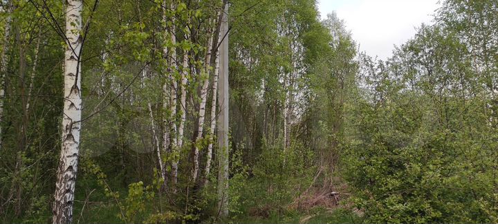 Участок 14,8 сот. (ИЖС)