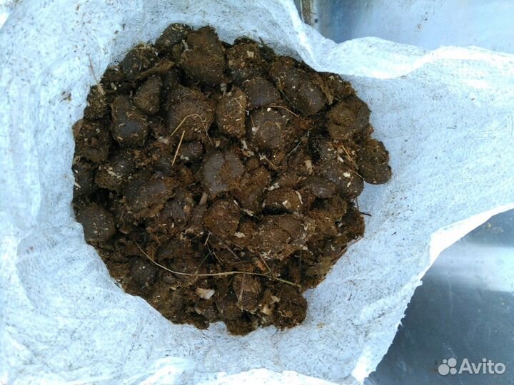 Конский навоз