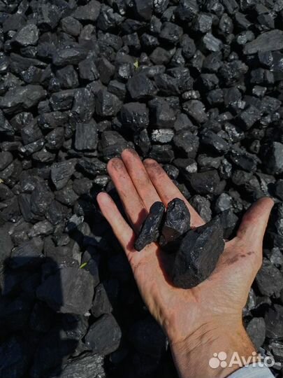 Дрова из дуба и лиственницы для уютного вечера