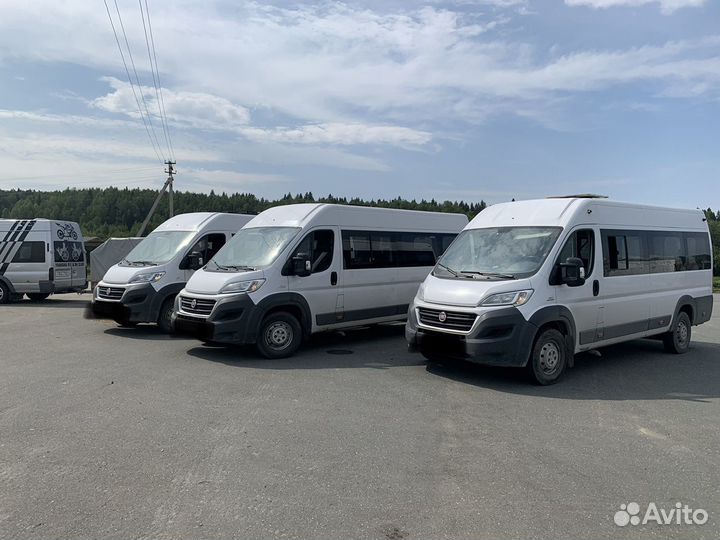 Автобус аренда