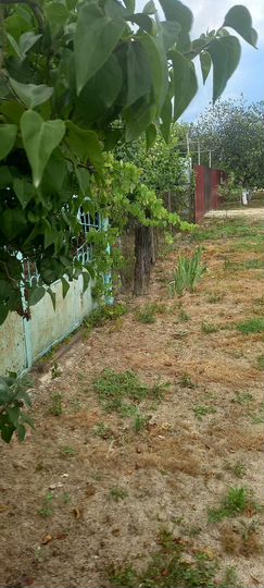 Дом 40 м² на участке 17 сот.