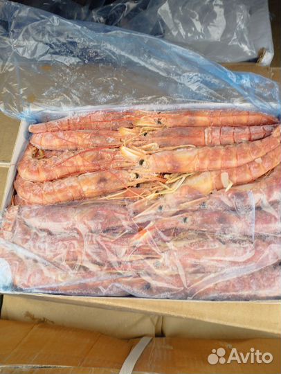 Лангустины