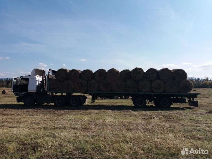 Услуги полуприцепа длинномера грузоперевозки