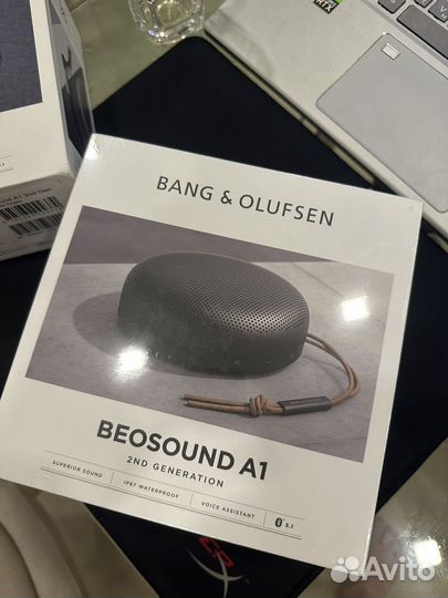 Bang & Olufsen Beosound A1 2nd gen