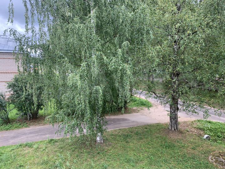 2-к. квартира, 41,1 м², 2/2 эт.