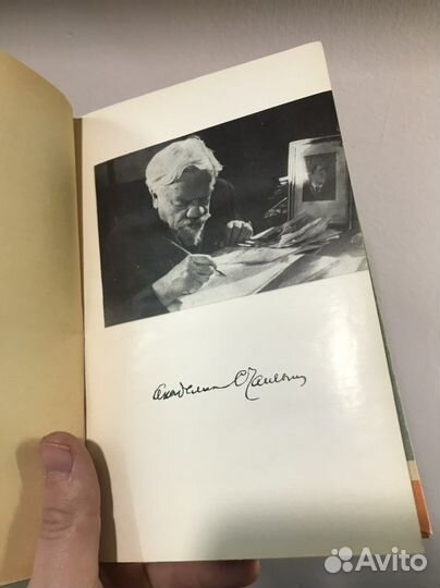 Книга жзл Чаплыгин