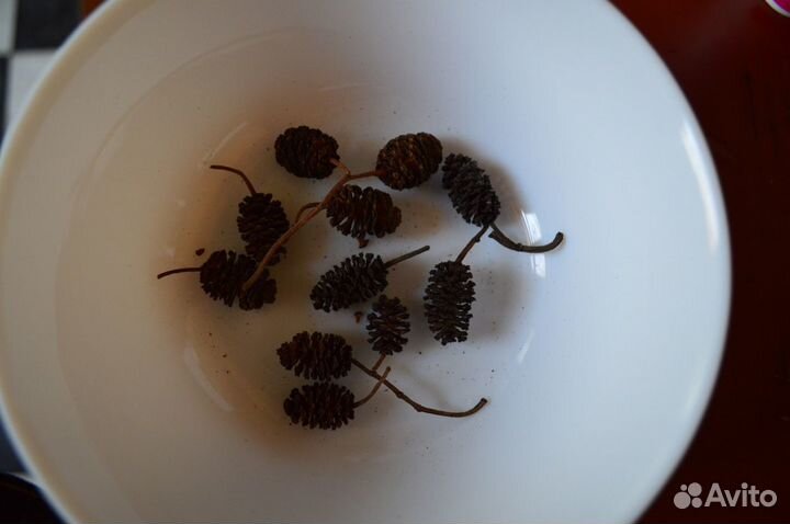 Шишки ольхи,листья дуба,удобрение