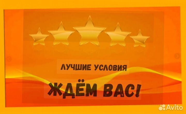 Наборщик заказов Без опыта Еженедельные выплаты