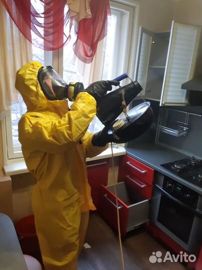 Уничтожение тараканов клопов блох муравьев клещей