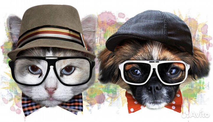 Шаблоны/макеты для печати на футболках и кружках