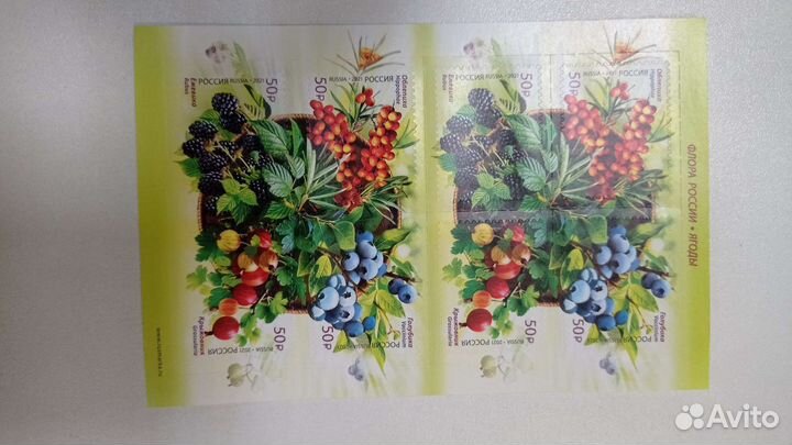 Марка Россия 2022 г. Почтовый блок Флора России