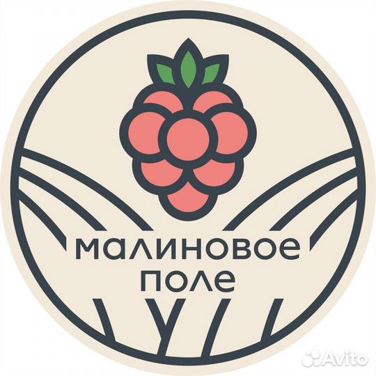 Саженцы малины