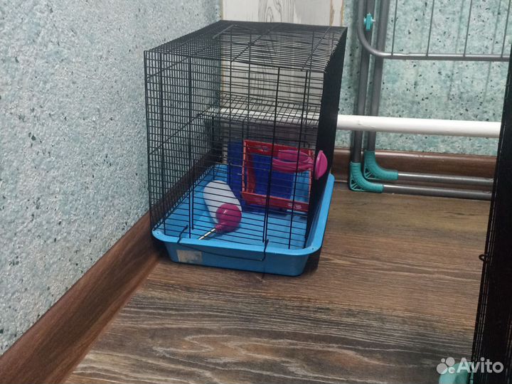 Клетка для грызунов