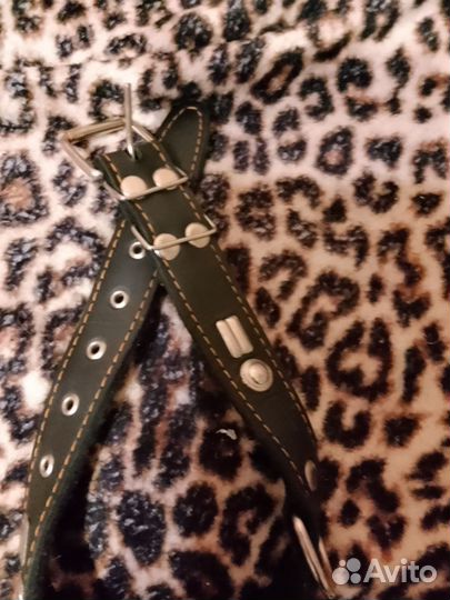 Ошейник для собак