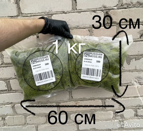 Стабилизированный Мох, Зеленые Оттенки