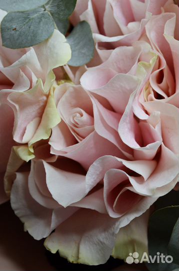 Букет французских роз