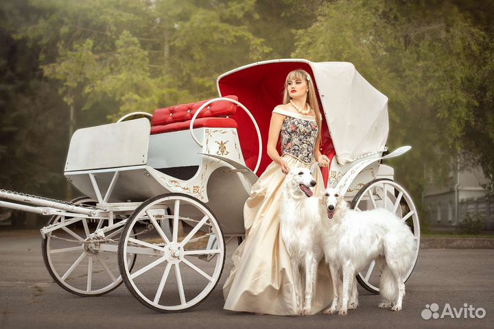 Прогулки на лошадях,конные прогулки,карета