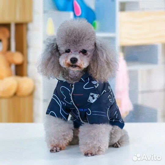 Зимняя куртка для собак