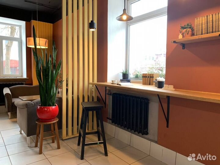 Сансевиерия / комнатный цветок