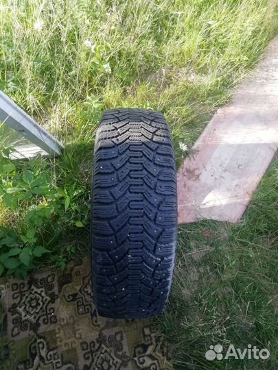 Cordiant Polar 195/60 R15