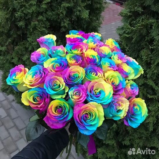 Радужные розы Эквадор premium. Цветы. Букет