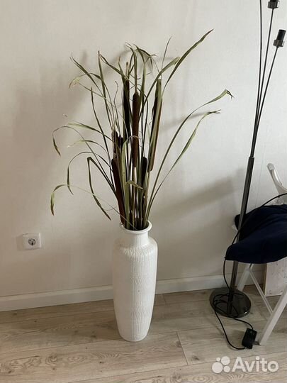 Рогоз для декора