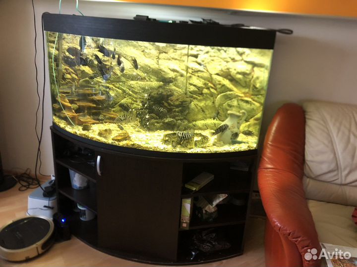Аквариум на 550 литров