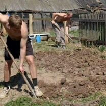 Помощники На Дачу Садовый Участок Копать Огород