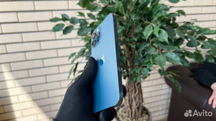 iPhone 12 Pro Max, 256 ГБ