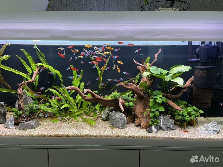 Аквариум с тумбой 300 литров