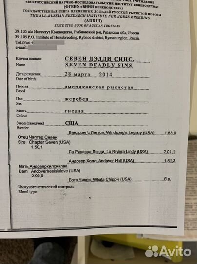 Лошади матки с жеребятами и жеребые