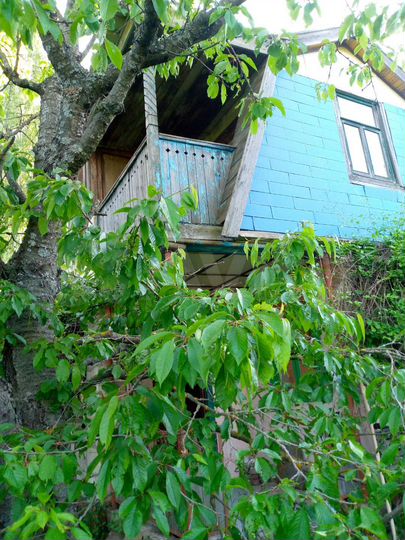 Дача 39 м² на участке 8 сот.