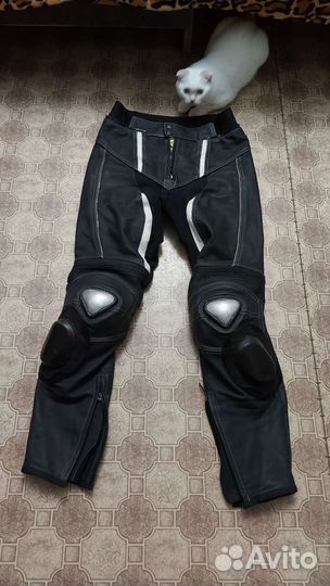 Мотоформа Адреналин Польша